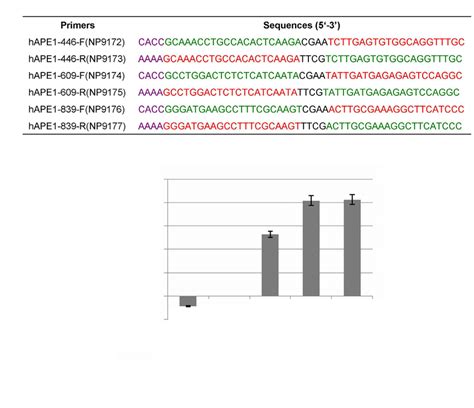 Primers For Plasmid Construction And Evaluation For Interference