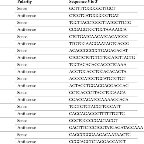 Primer Sequences Of Genes Whose Expression Was Evaluated By Pcr Download Scientific Diagram