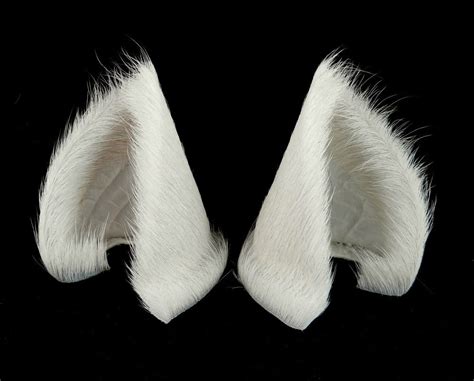 Sleek White Cat Ears Nekomimi Anime Cat Ears Cat Ears And Tail Cat Ears