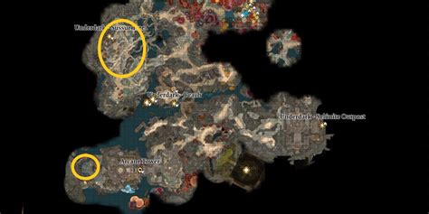 Unlock The Enigmatic Sussur Bloom In Baldur S Gate 3 Proven Methods