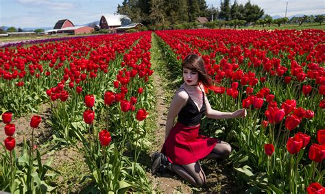 Tulip Tips The Right Way To Do The Skagit Valley Tulip Festival