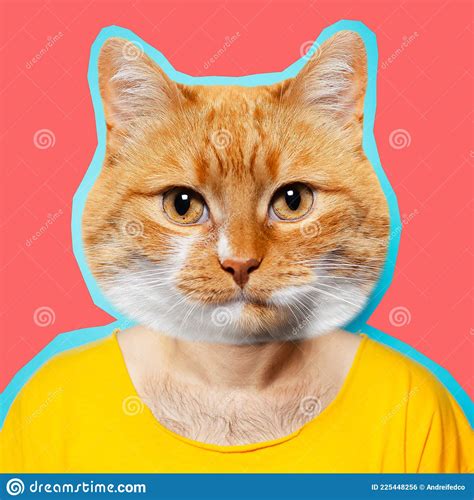 Serious Cat Cartoon Stock Photos Free And Royalty Free Stock Photos