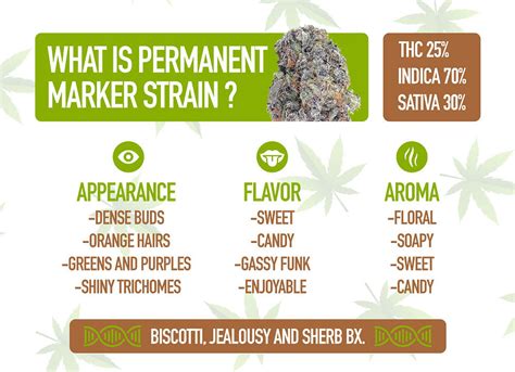 Permanent Marker Strain: Weed Strain Information