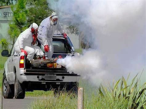 Fumigaciones Para El Control De Mosquitos Plaga Express