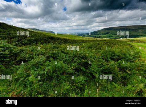 Landscape in the Scottish Highlands Scotland UK Stock Photo - Alamy