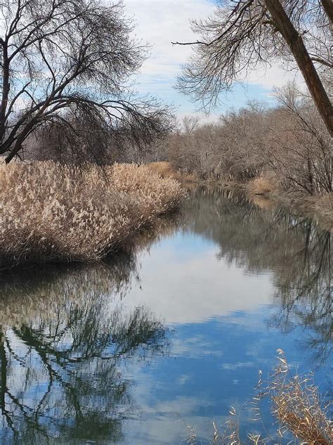 Henares river Photograph by Francisco Capilla Hervas - Fine Art America