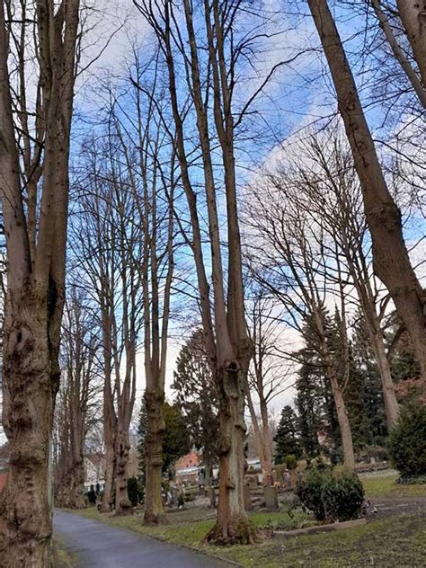 Friedhof Hinschenfelde Kirchliche Friedh Fe Tonndorf