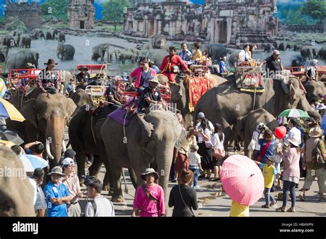 Thailand elephant festival hi-res stock photography and images - Alamy