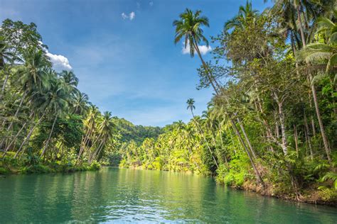 View of Loboc River at Bohol island - Philippine Islands Connections - PIC