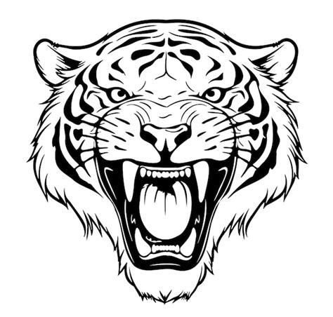 Premium Vector Angry Tiger Head Hand Drawn Sketch Illustration Wild