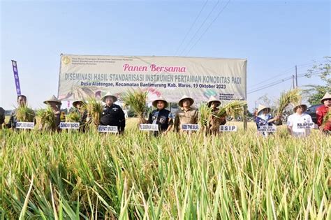 Pj Gubernur Bahtiar Panen Raya Padi Bersama Petani Di Tengah El Nino