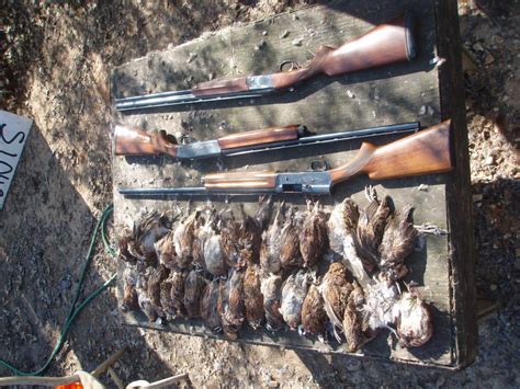 DEEP SOUTH QUAIL HUNTS - Updated January 2025 - 230 Z C Rushing Rd