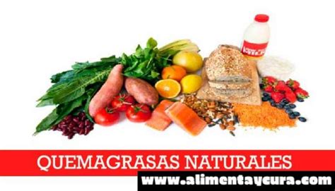 10 Alimentos Quemagrasas Naturales Alimenta Y Cura