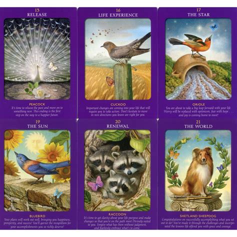 Animal Tarot Cards Lt Tarot