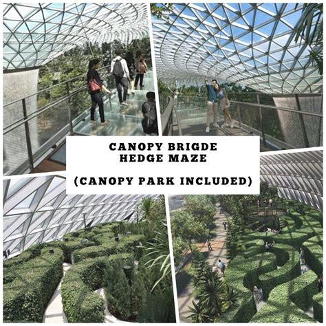 Changi Airport Jewel Attractions Hedge Maze Canopy Bridge Canopy Park