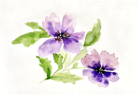 Watercolor Painting Of Purple Flower Stock Illustration Illustration