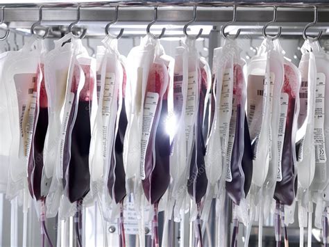 Donor Blood Processing Stock Image C Science Photo Library