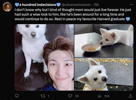 BTS' RM makes a heartbreaking announcement of his pet dog Moni's passing away during his recent ...