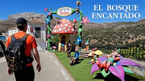 El Bosque Encantado Parauta M Laga Youtube