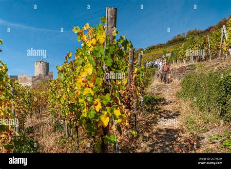 Weingut Schlossberg Fotos Und Bildmaterial In Hoher Aufl Sung Alamy