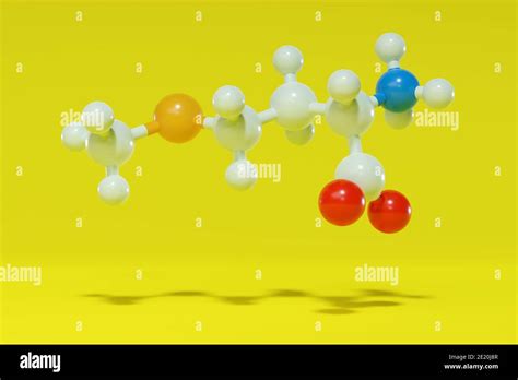 Methionine L Methionine Met M Amino Acid Molecule D Rendering