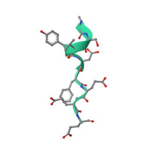 Rcsb Pdb Qnx Structure Of The Sa Scc Ctcf Complex