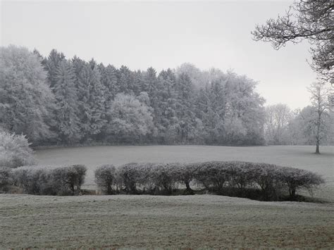 Olympus SP-565 UZ Review - PhotographyBLOGPhotography Blog