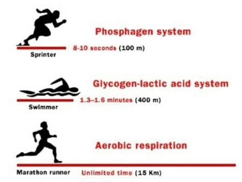 Understanding Energy Systems Flex Affect