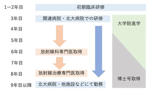 研修プログラム 北海道大学 大学院医学研究院 放射線科学分野 放射線治療学教室