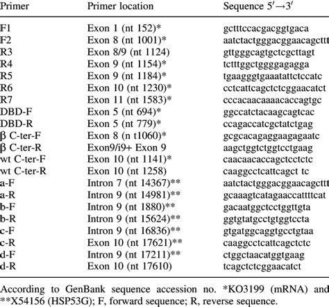 Primers Pairs For Rt Pcr Of The P53 Mrna And Gene Download Table