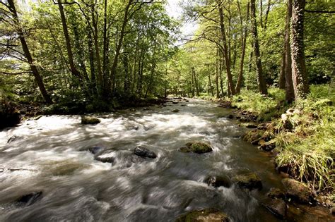 Esk Valley East And Egton Bridge Cycle Route Discover Yorkshire Coast