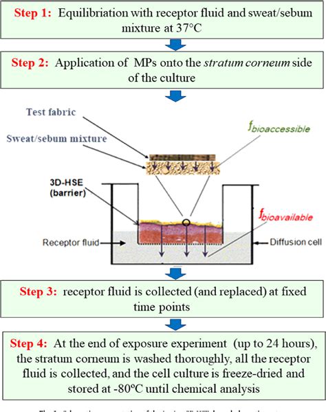 Pdf Dermal Uptake Of Chlorinated Organophosphate Flame Retardants Via