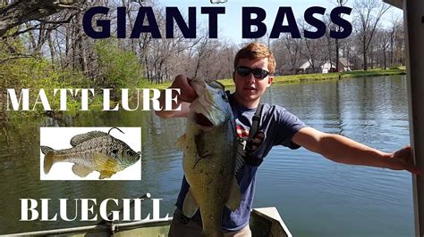 Bass Fishing With Bluegills Best Realistic Bluegill Swimbait Bass