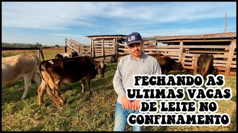 Decidimos Fechar As Ltimas Vacas De Leite No Confinamento Leite Agro