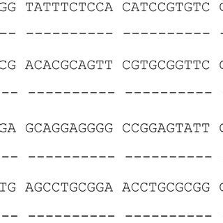 Alignment Of The Exon 2 Sequence Of C 14 02 38 With The Sequence Of