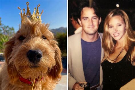 Lisa Kudrow Isn't Adopting Matthew Perry’s Dog — Because He Didn't Have ...