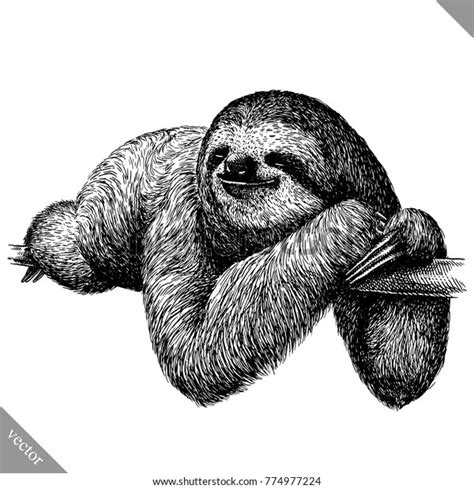 2,166 Sloth Outline Images, Stock Photos, 3D objects, & Vectors ...