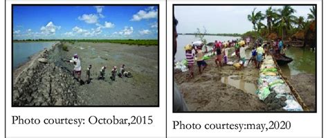 Photo showing the Impact of Agricultural land by Storm surge Effects of ...