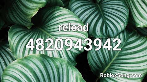 Reload Roblox Id Roblox Music Codes