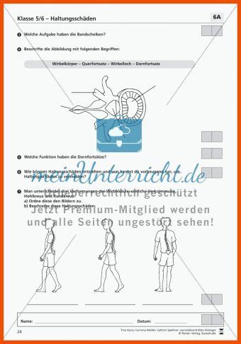 Allgemeine Arbeitsblätter hsaeuless org