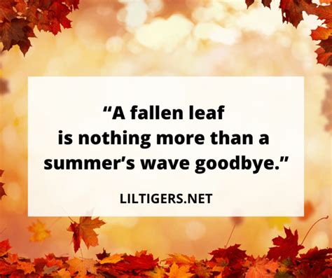 75 Best Leaf Quotes Sayings And Captions Lil Tigers