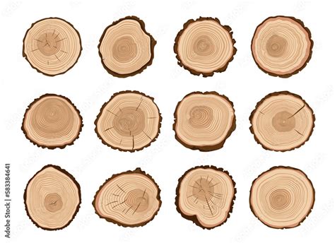 Vetor De Tree Trunks Wood Cut Forest Tree Stump Log Cross Section