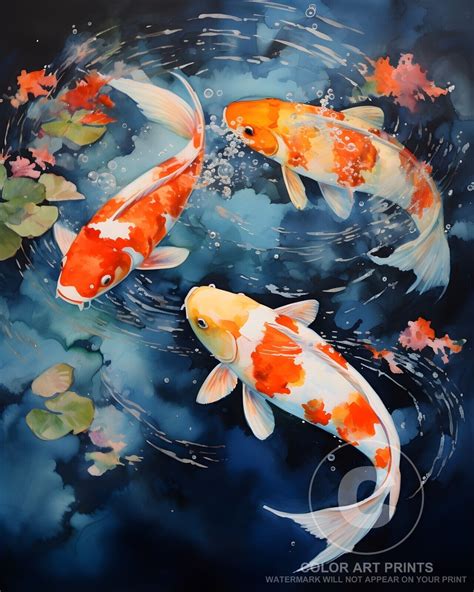 Free printable pond fish, Download Free printable pond fish png images