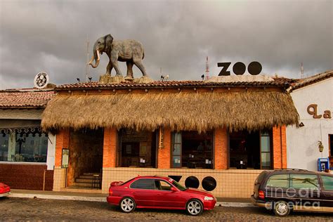 Zoo Bar Photograph by Mark Baker - Fine Art America