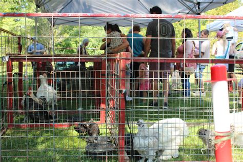 benson's wild animal farm museum & park store 4