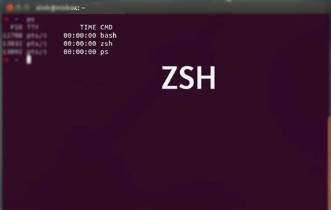 How To Install And Setup Zsh As Default Shell In Ubuntu