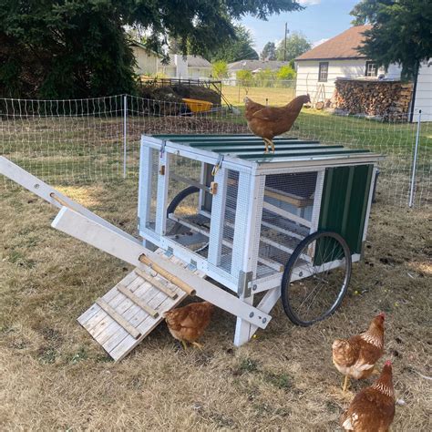 Portable Chicken Coops