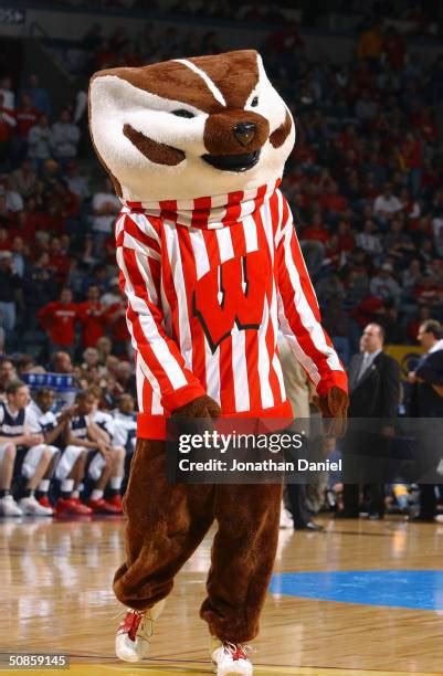 Bucky Badger Photos and Premium High Res Pictures - Getty Images