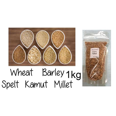 Organic Spelt Kamut Wheat Barley Millet Grains Berries Bulk