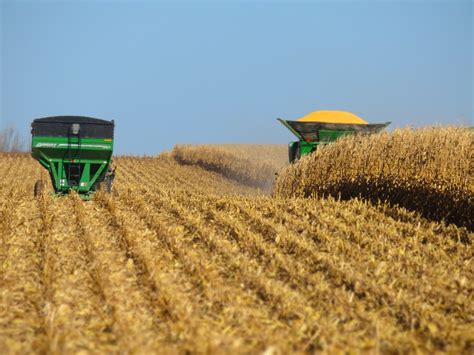 Setor Agropecu Rio Impulsiona Crescimento Econ Mico No Brasil Agrozil